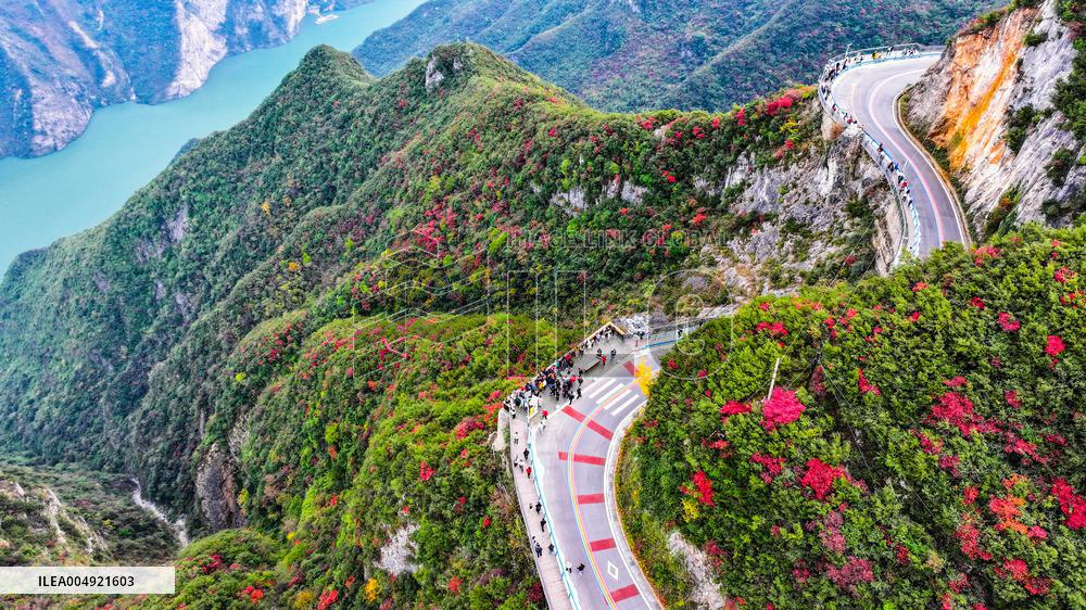 Wuxia Gorge Near Yangtze River - China