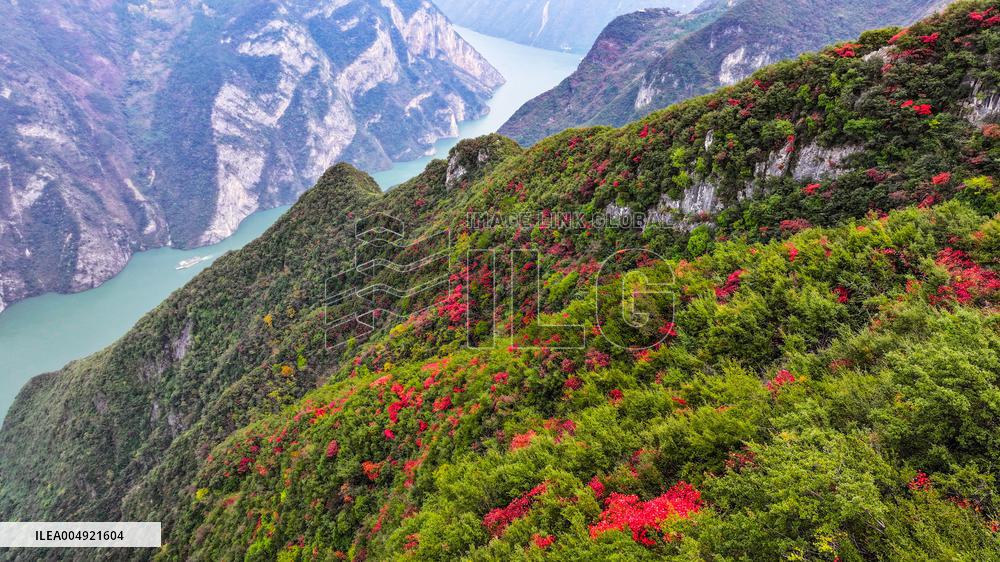 Wuxia Gorge Near Yangtze River - China