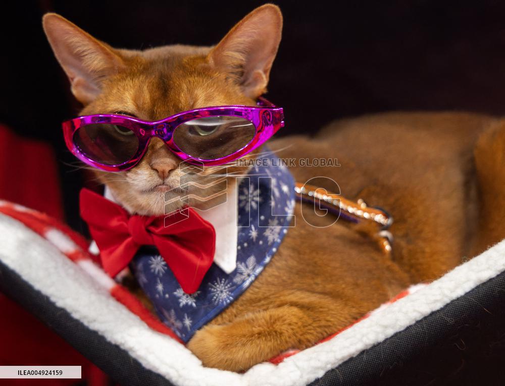 Christmas Canadian Pet Expo - Canada