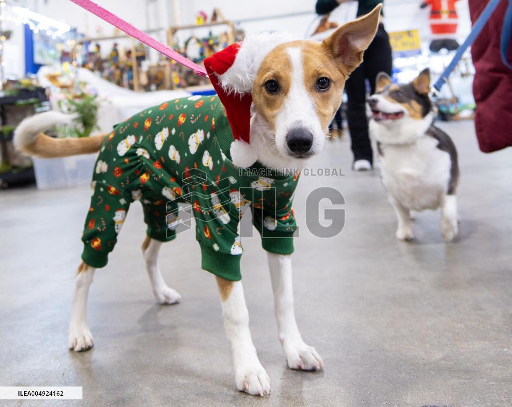 Christmas Canadian Pet Expo - Canada
