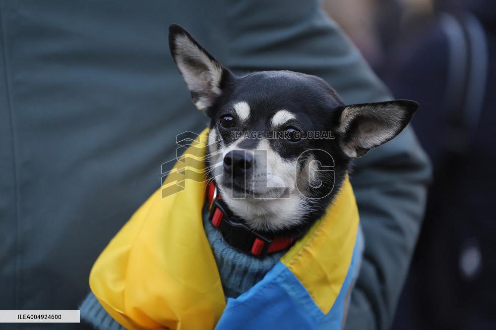 Demonstration In Support Of Ukraine - Rome