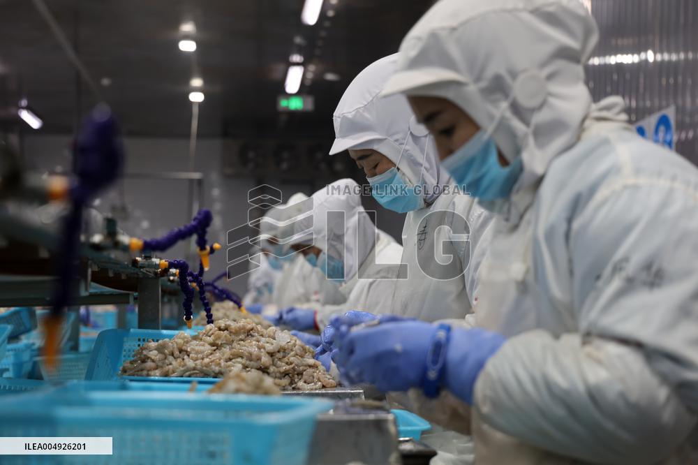 Salt Field Shrimp Processing in Binzhou