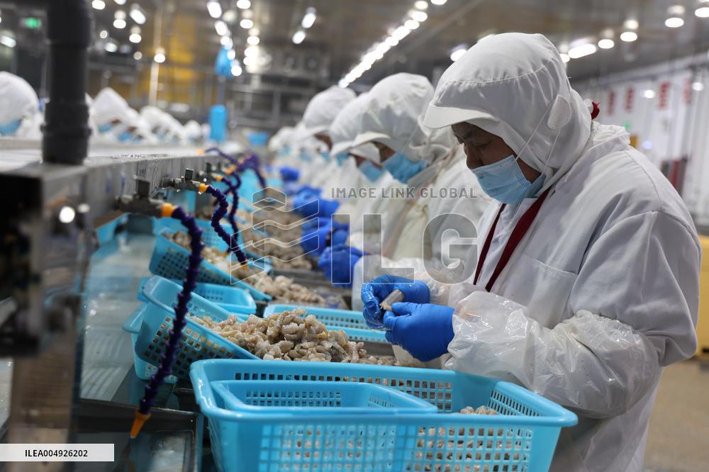 Salt Field Shrimp Processing in Binzhou