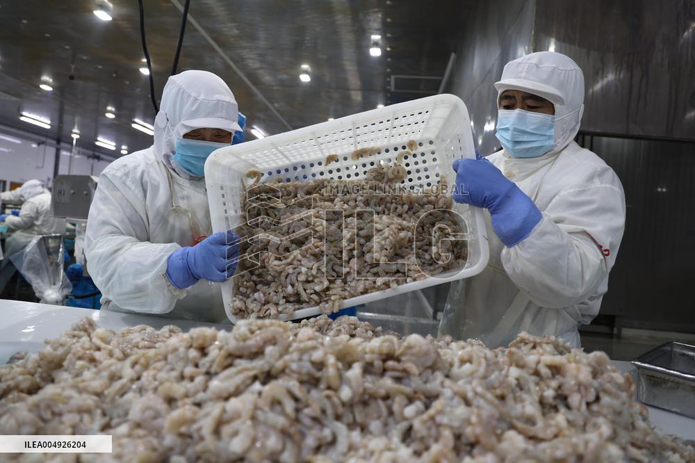 Salt Field Shrimp Processing in Binzhou