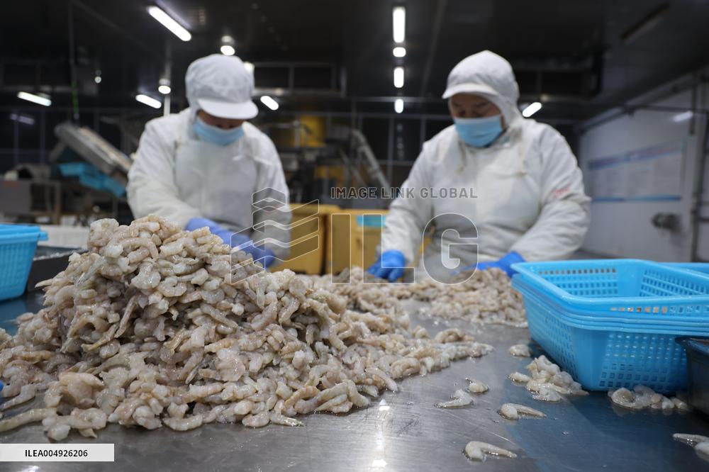 Salt Field Shrimp Processing in Binzhou