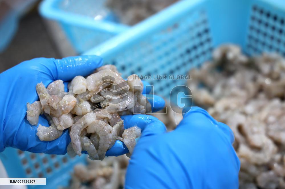 Salt Field Shrimp Processing in Binzhou