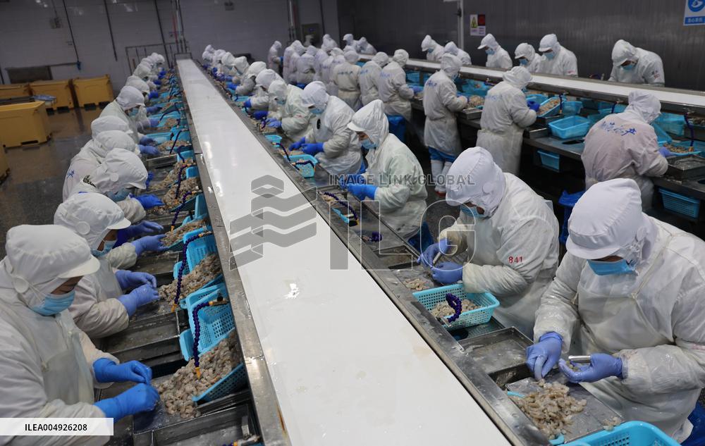 Salt Field Shrimp Processing in Binzhou