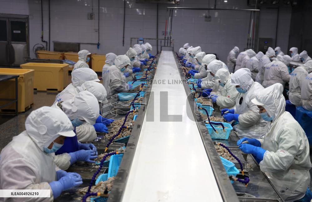 Salt Field Shrimp Processing in Binzhou