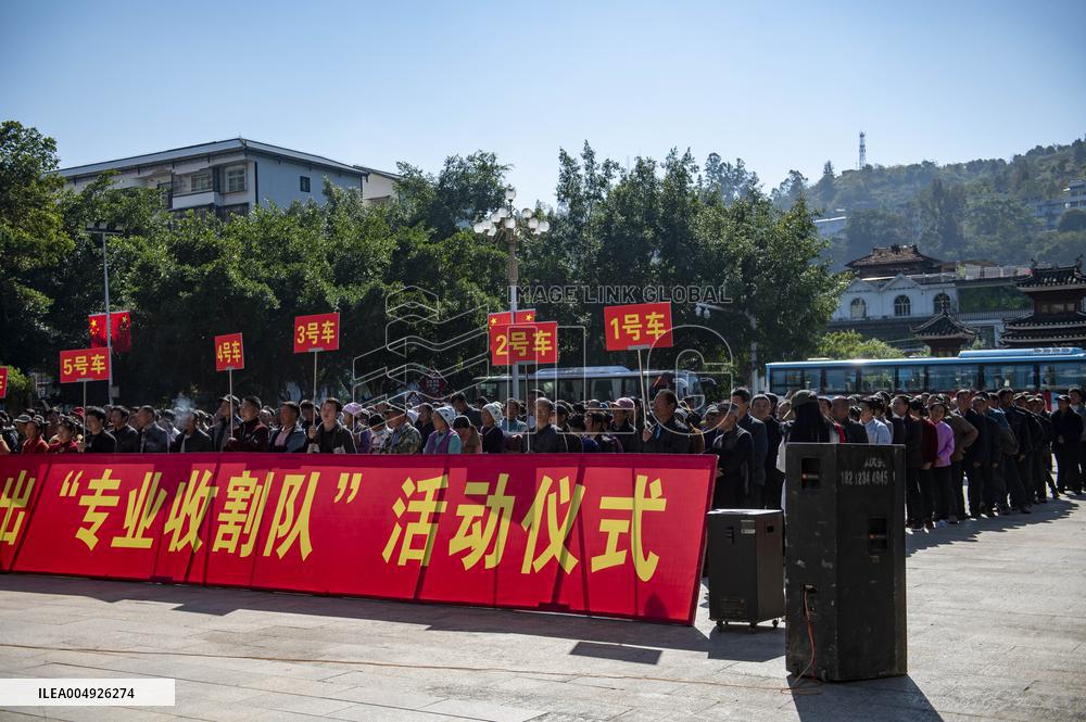 Labor Service Export