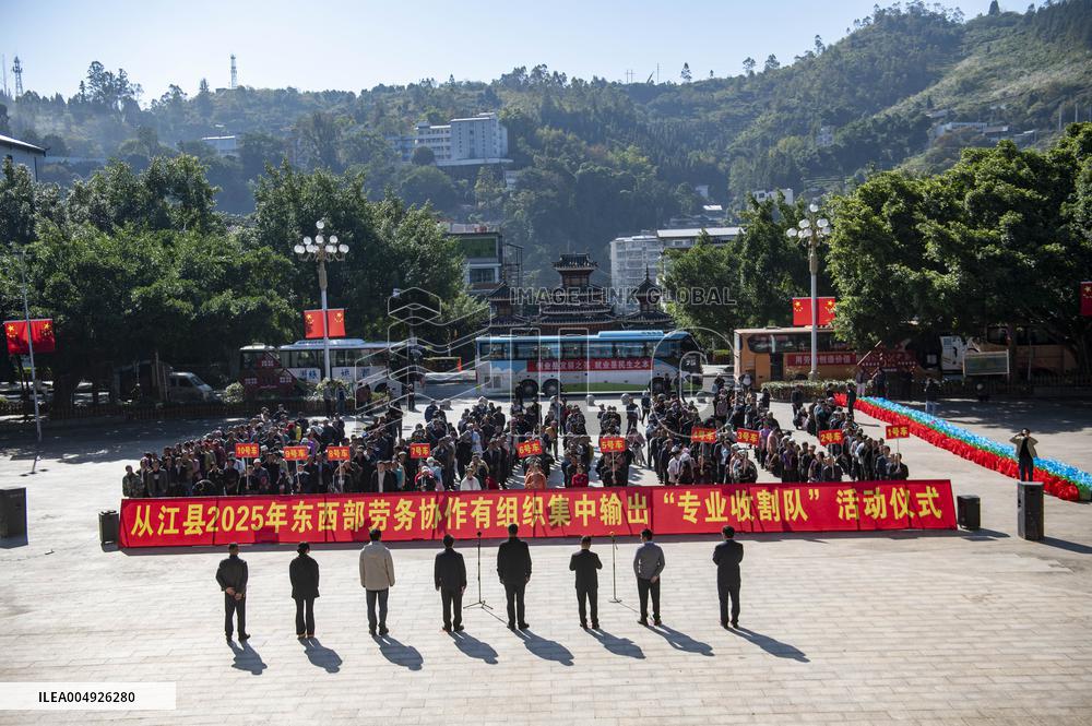 Labor Service Export