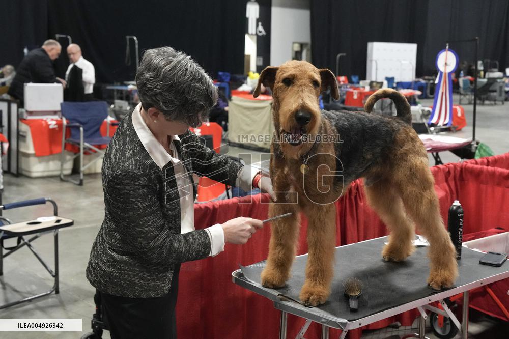 National Championship Dog Show - Toronto