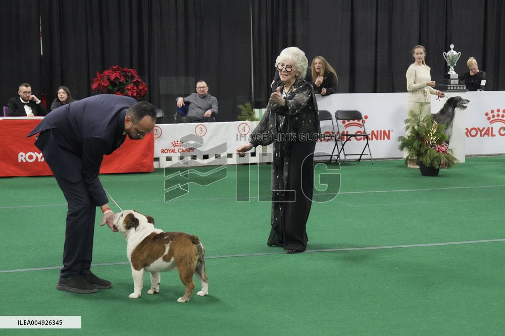 National Championship Dog Show - Toronto