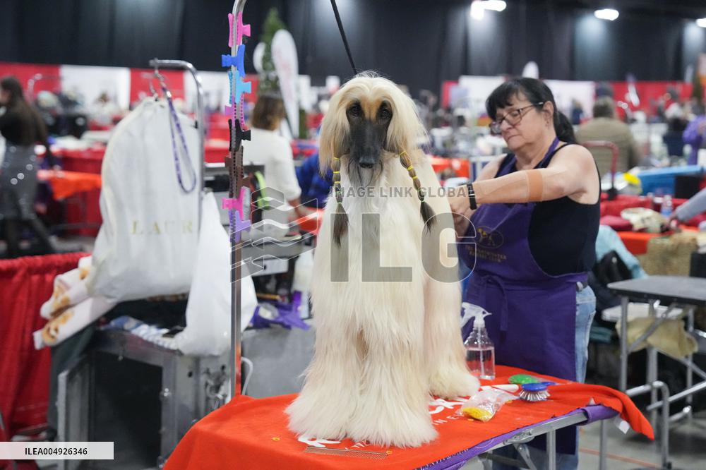 National Championship Dog Show - Toronto