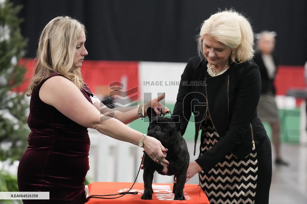 National Championship Dog Show - Toronto