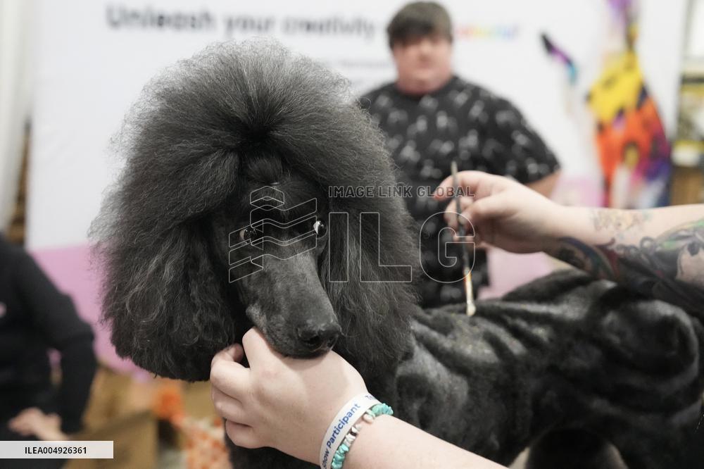 National Championship Dog Show - Toronto