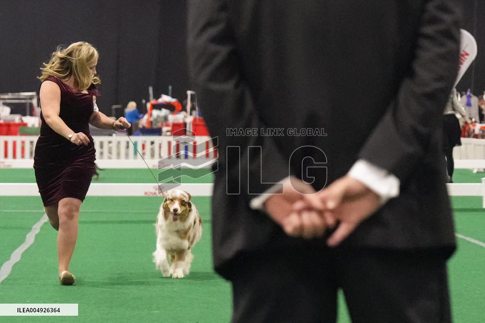 National Championship Dog Show - Toronto
