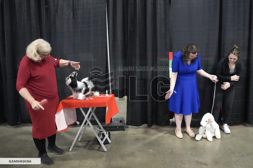 National Championship Dog Show - Toronto
