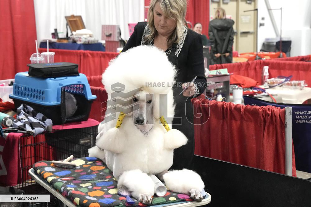 National Championship Dog Show - Toronto