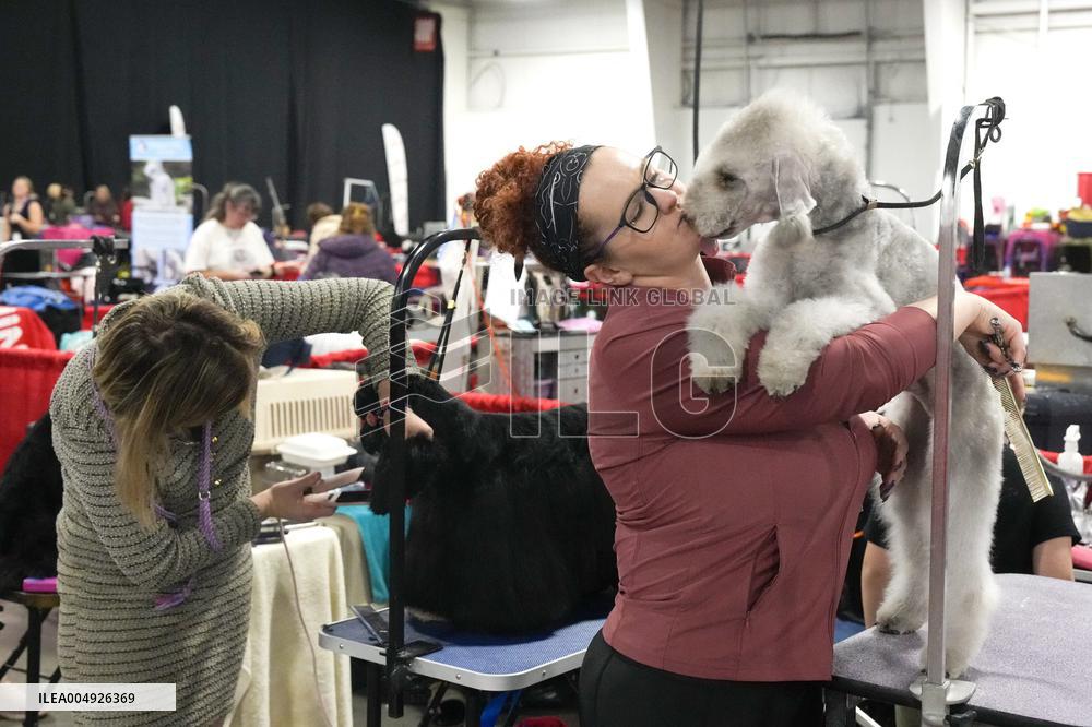 National Championship Dog Show - Toronto