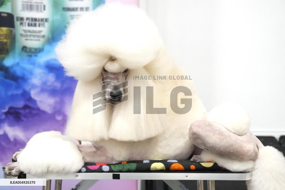 National Championship Dog Show - Toronto