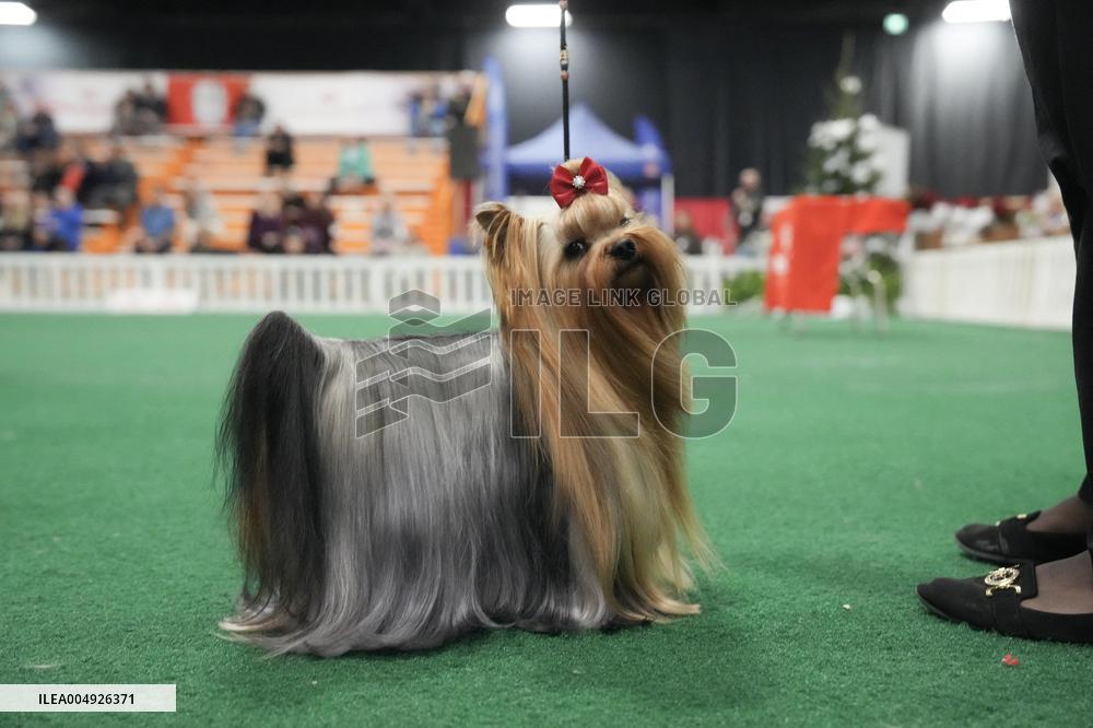National Championship Dog Show - Toronto
