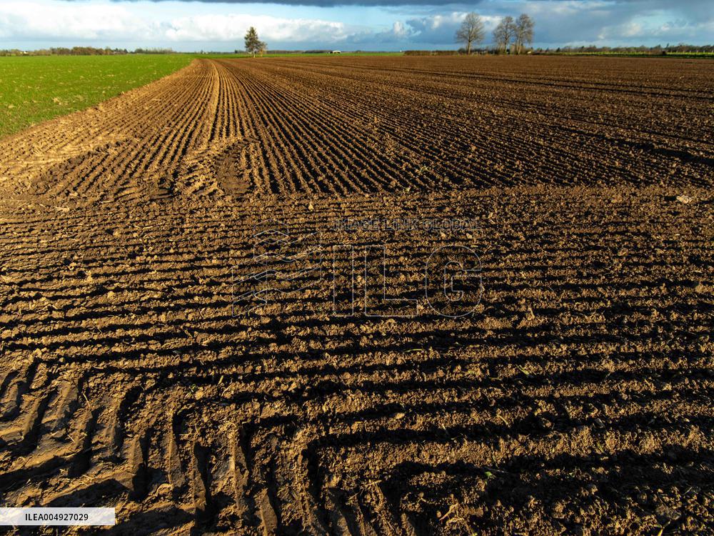 Illustration - Farmland at Normandy Countryside - France