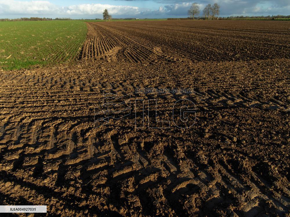Illustration - Farmland at Normandy Countryside - France