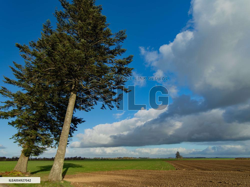 Illustration - Farmland at Normandy Countryside - France