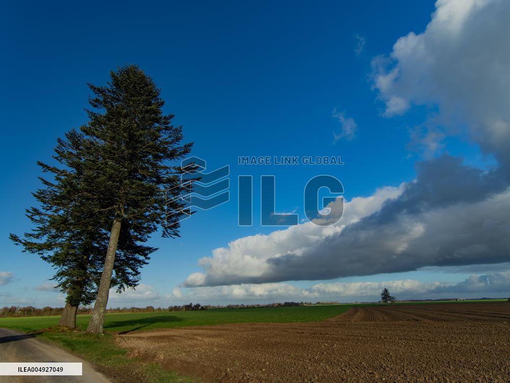 Illustration - Farmland at Normandy Countryside - France