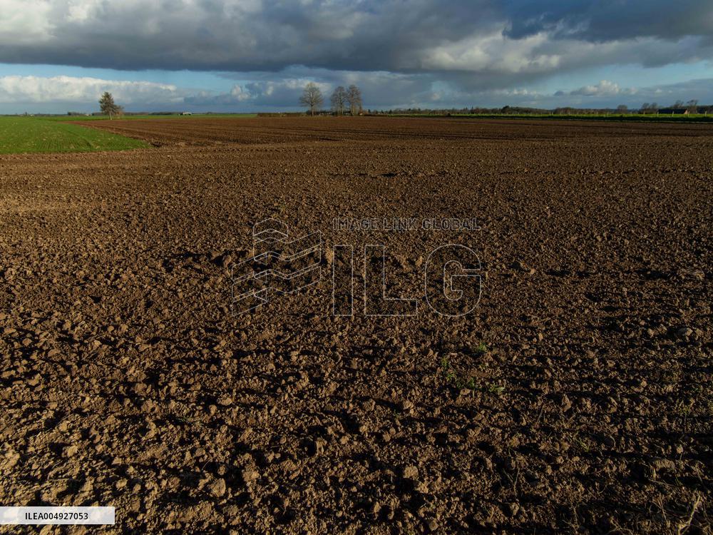 Illustration - Farmland at Normandy Countryside - France