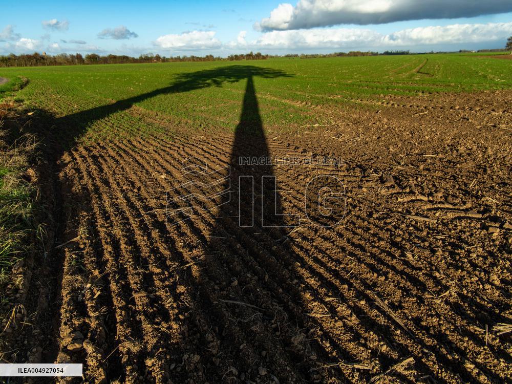 Illustration - Farmland at Normandy Countryside - France