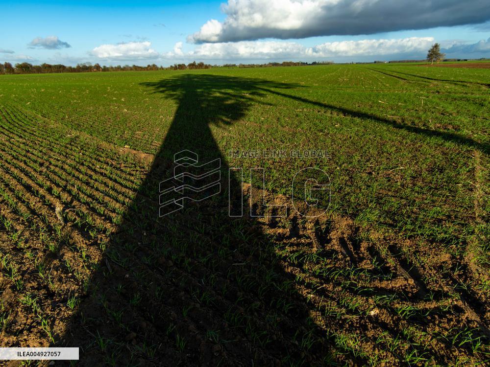 Illustration - Farmland at Normandy Countryside - France