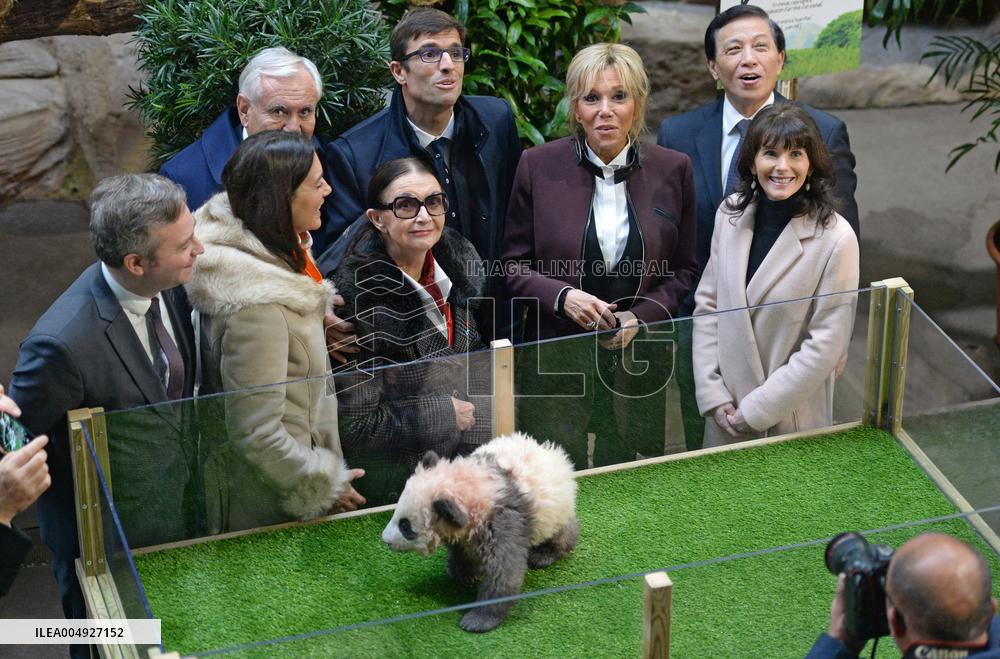 Famous Pair Of Pandas Will Leave Beauval Zoo For China - France
