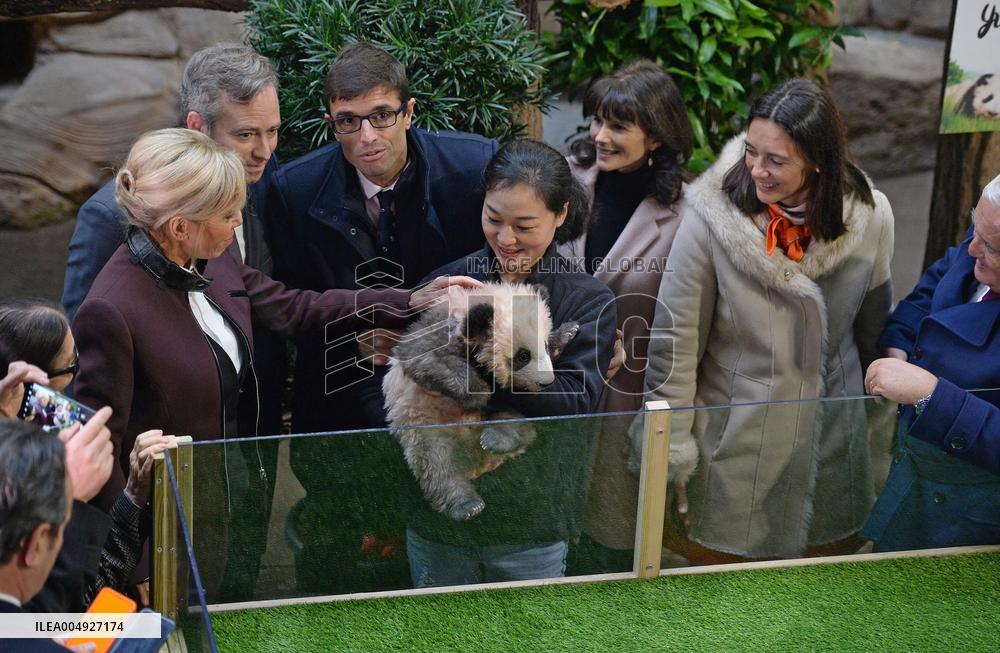 Famous Pair Of Pandas Will Leave Beauval Zoo For China - France