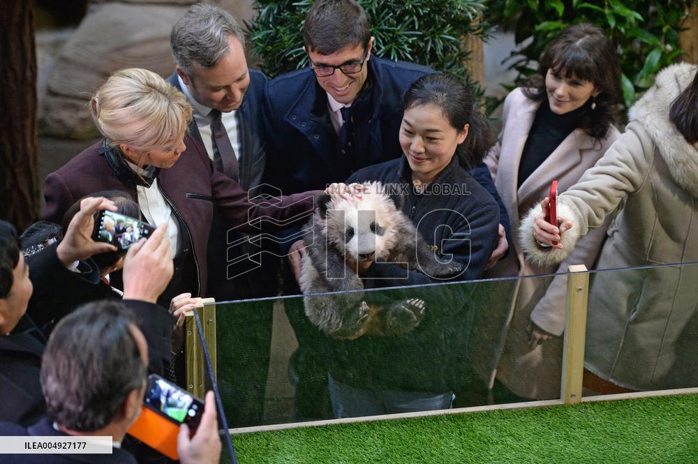 Famous Pair Of Pandas Will Leave Beauval Zoo For China - France