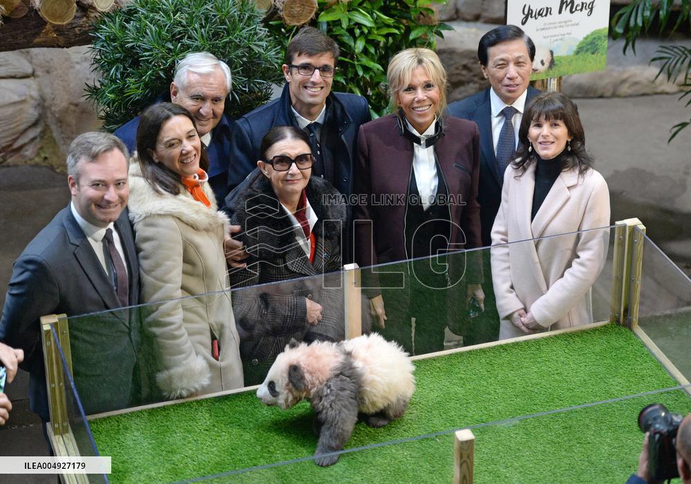 Famous Pair Of Pandas Will Leave Beauval Zoo For China - France