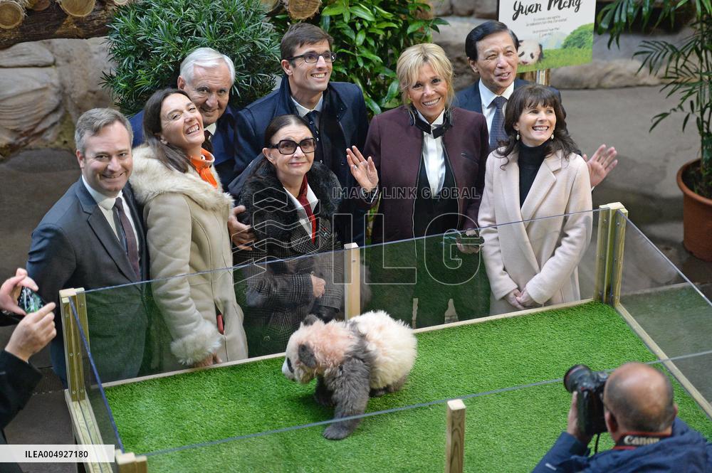 Famous Pair Of Pandas Will Leave Beauval Zoo For China - France