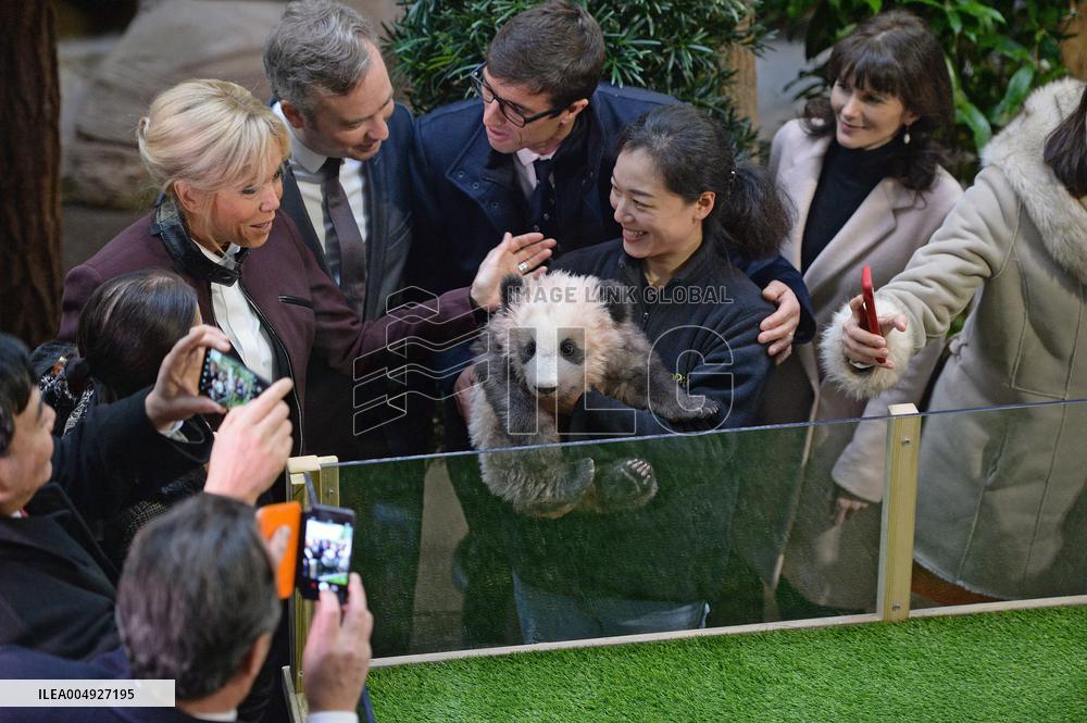 Famous Pair Of Pandas Will Leave Beauval Zoo For China - France