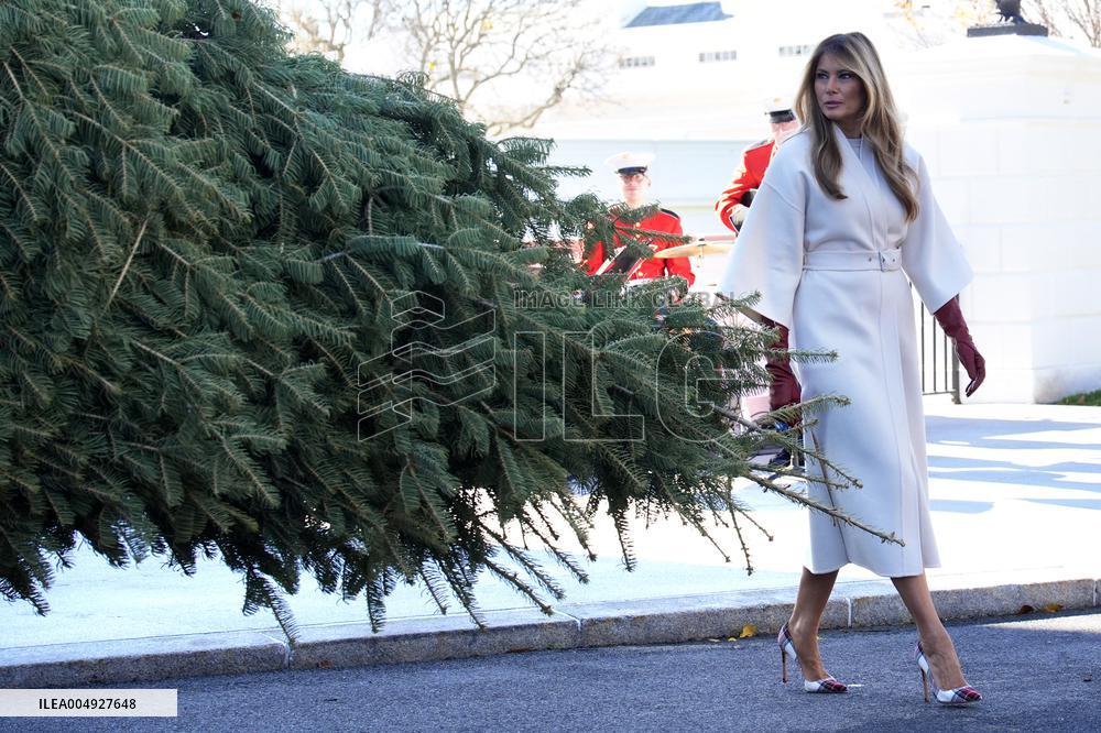 Melania Trump welcomes Christmas Tree - Washington