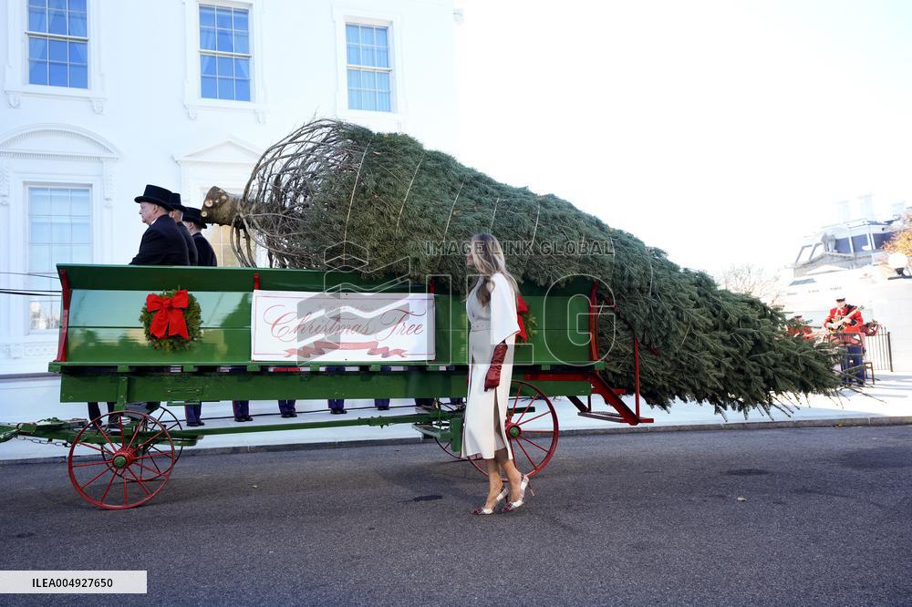 Melania Trump welcomes Christmas Tree - Washington