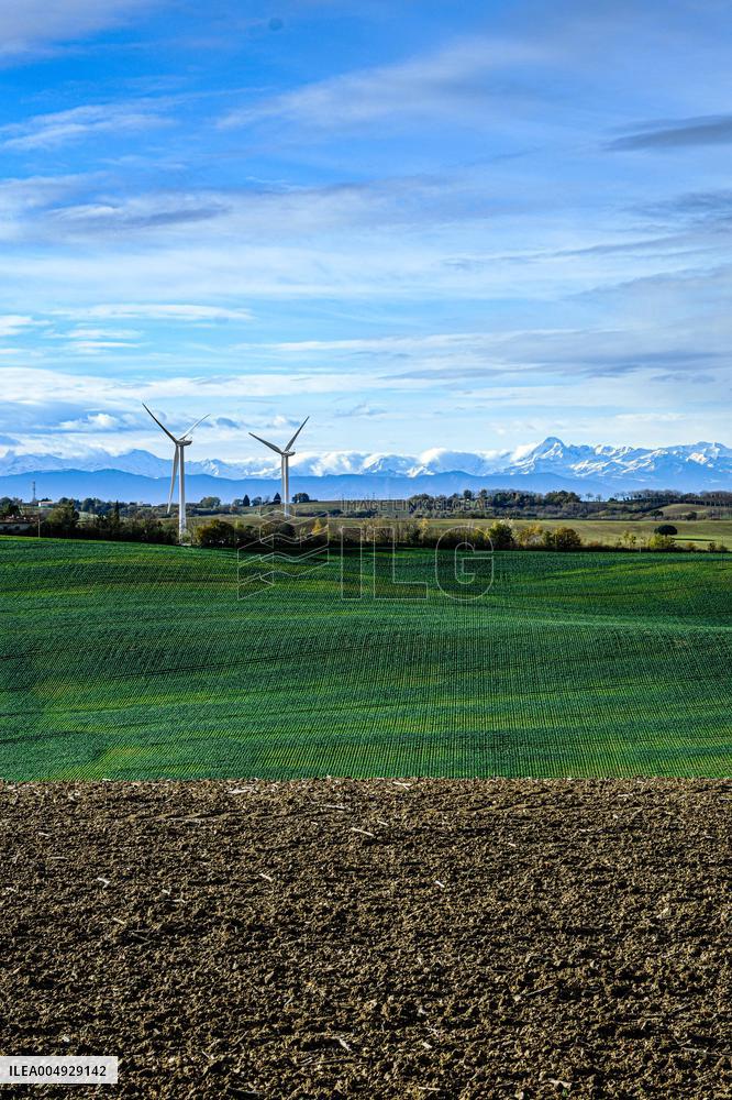 Illustration - Lauragais landscapes