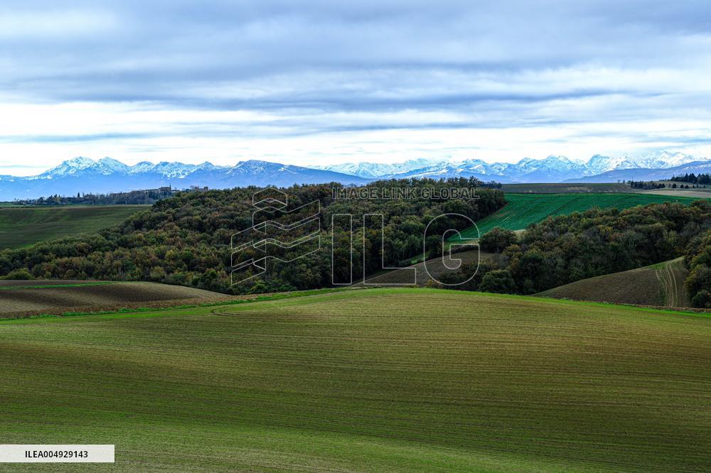 Illustration - Lauragais landscapes