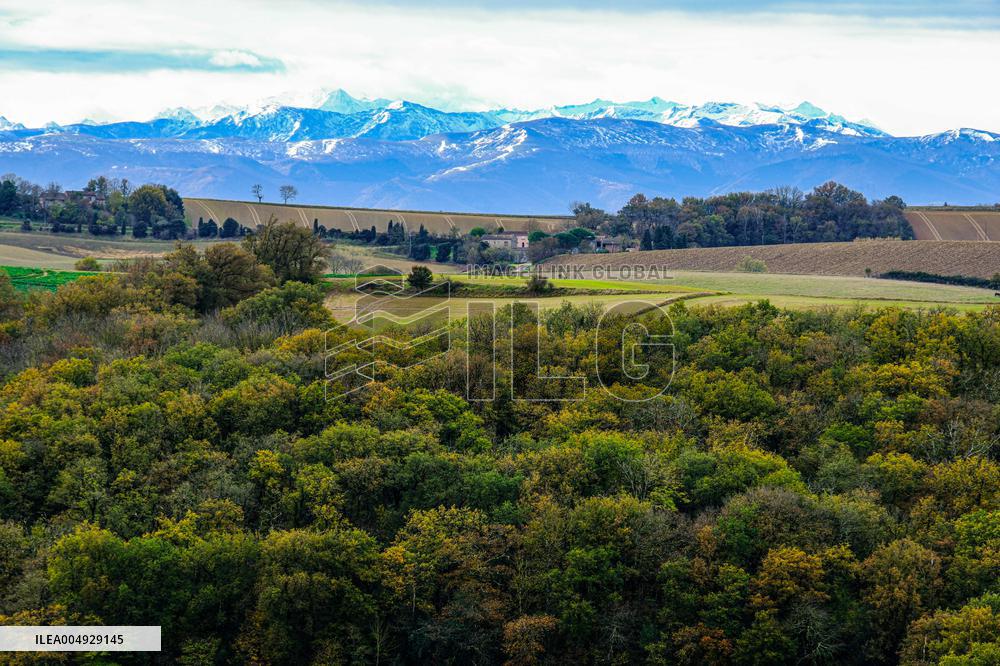 Illustration - Lauragais landscapes