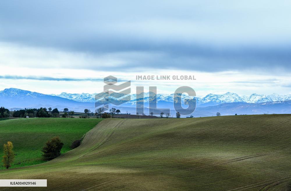 Illustration - Lauragais landscapes