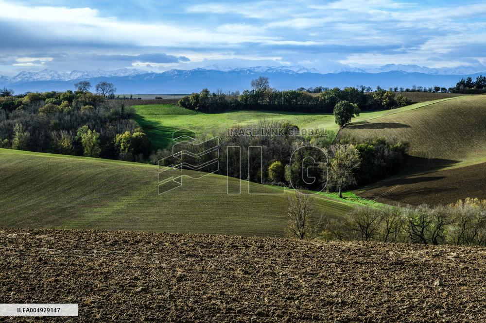 Illustration - Lauragais landscapes