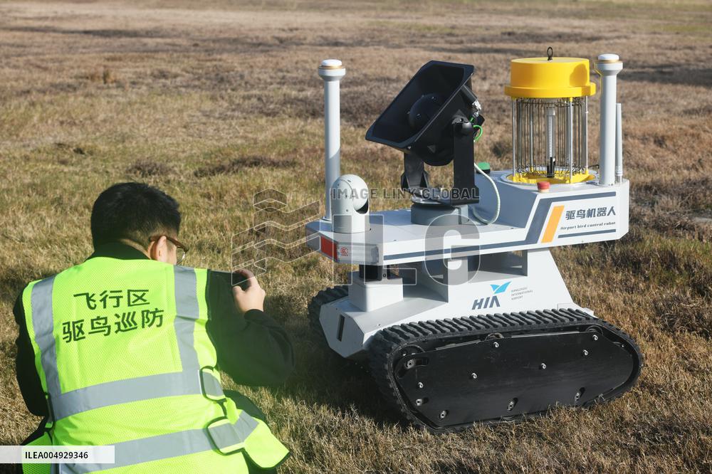 Airport Bird Control Robot
