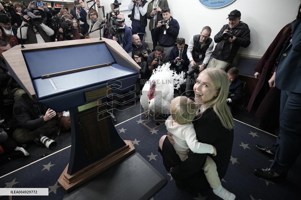 Donald Trump welcomes Christmas Tree - Washington