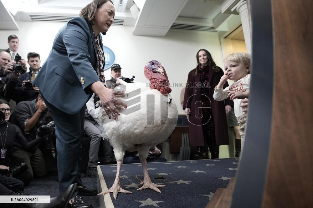 Donald Trump welcomes Christmas Tree - Washington