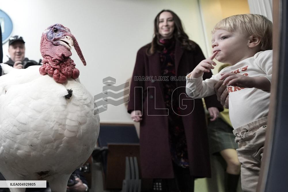 Donald Trump welcomes Christmas Tree - Washington