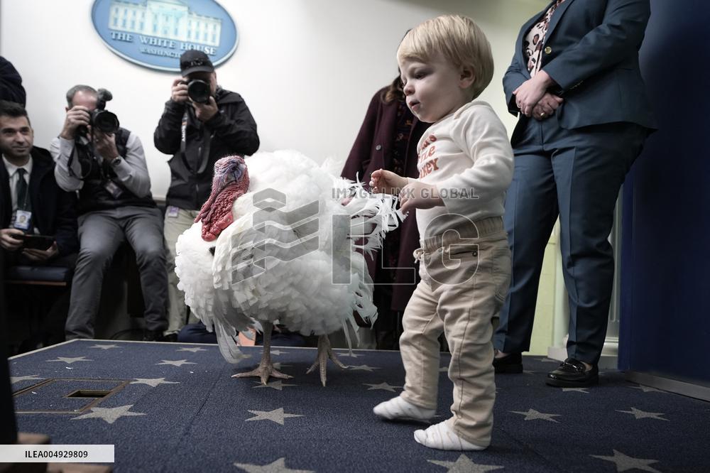 Donald Trump welcomes Christmas Tree - Washington